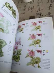 花之绘 ·38种花的色铅笔图绘