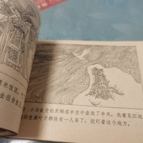 连环画 鱼公主