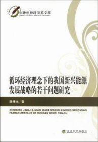 中青年经济学家文库：循环经济理念下的我国新兴能源发展战略的若干问题研究