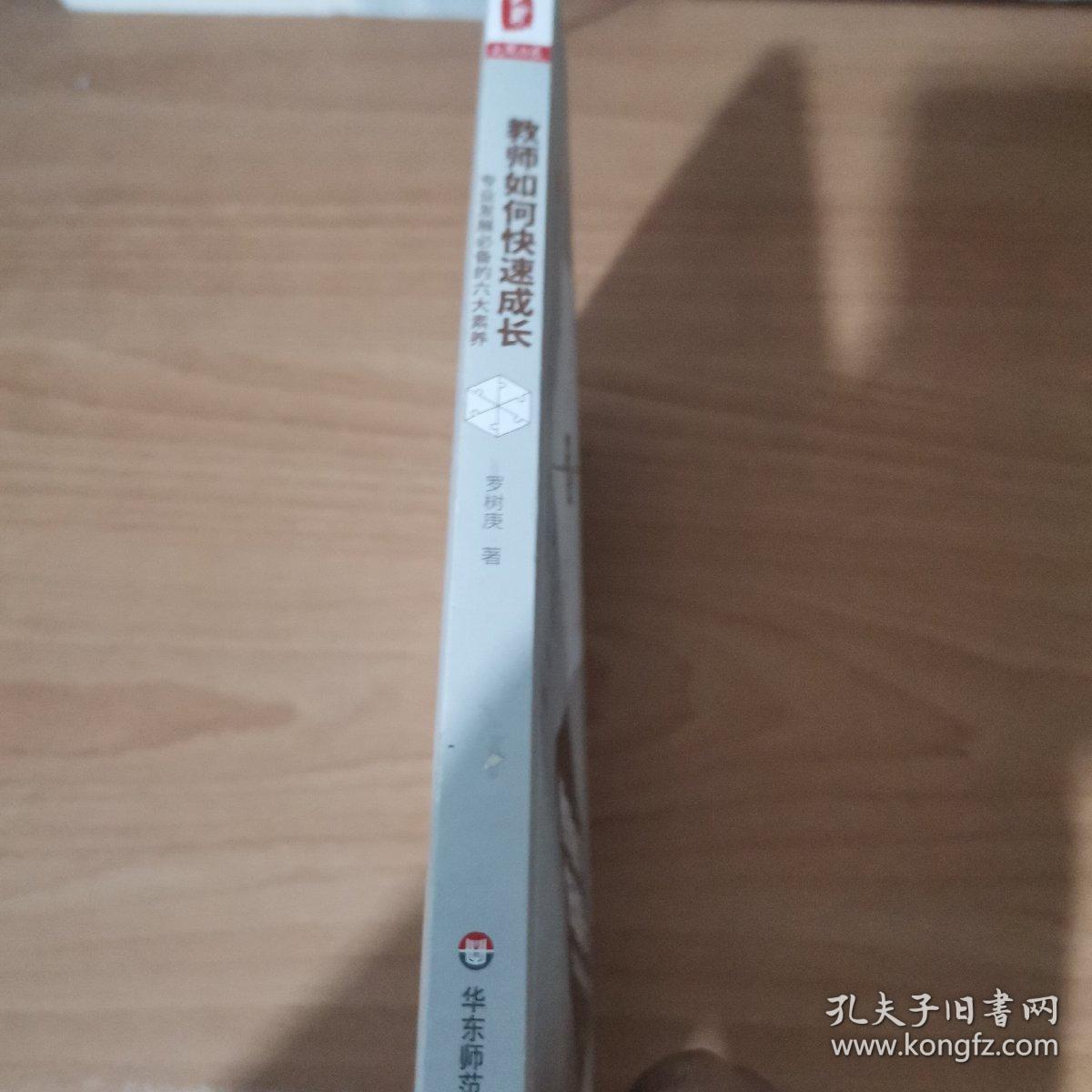 教师如何快速成长：专业发展必备的六大素养 大夏书系