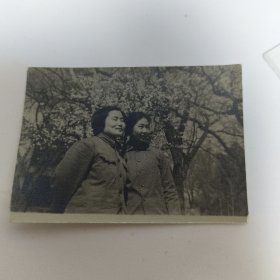 两个美女在杏花林合影照片。
