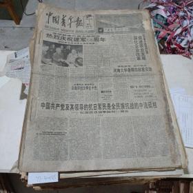 中国青年报（1995年8月）