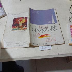 小说林，双月刊（1995.4）