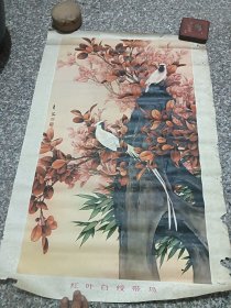 红叶白绶带鸟 白铭作 1980年