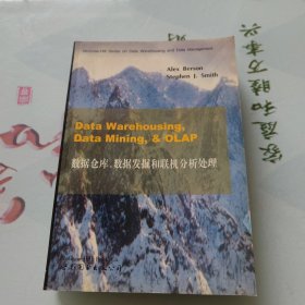 DataWarehousing数据仓库、数据发掘和联机分析处理（英文版）