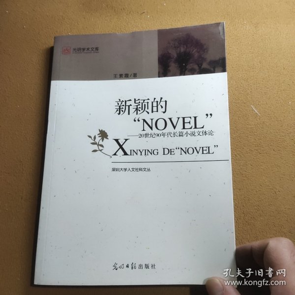 新颖的“NOVEL“：20世纪90年度长篇小说文体论