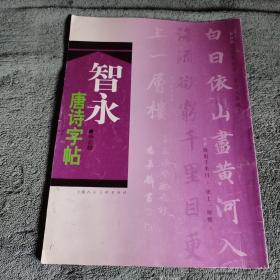 智永唐诗字帖 (一版一印) 正版 有详图