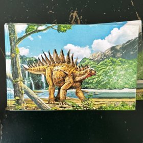 恐龙明信片一套6枚