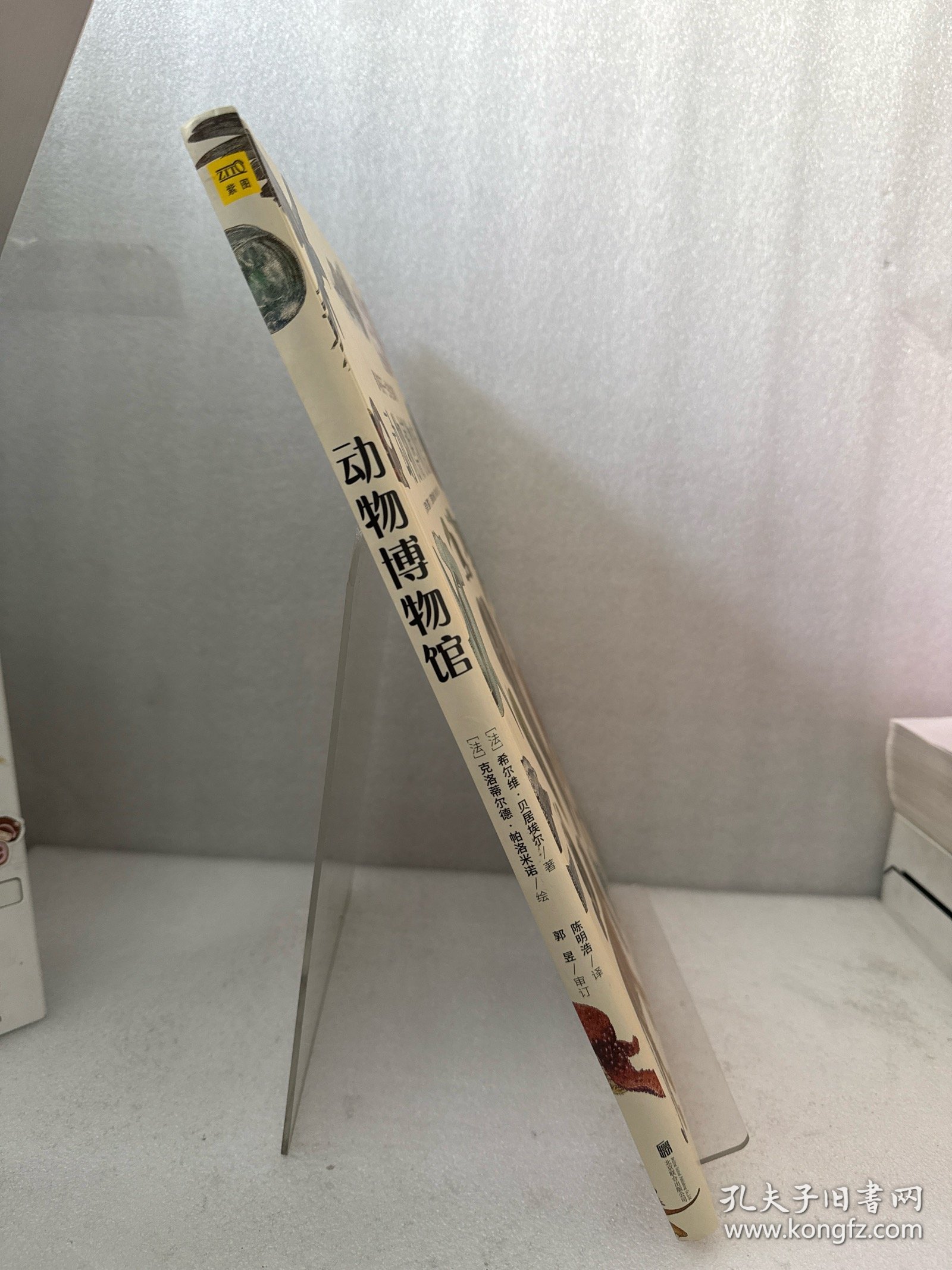 动物博物馆：影响孩子一生的生命课