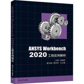 ansys workbench2020工程实例解析 大中专理科计算机  新华正版