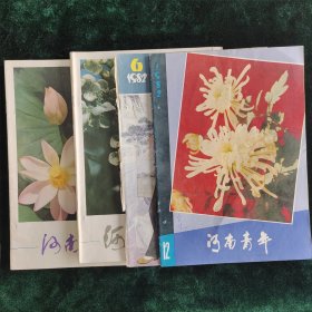 河南青年杂志1982年6、7、8、12期四本