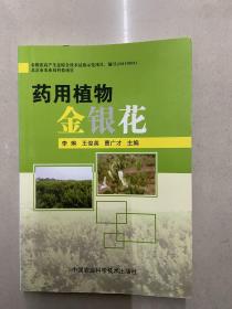 药用植物金银花