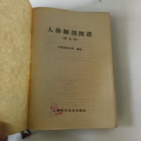 人体解部图谱(S一2书架)