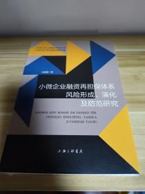 小微企业融资再担保体系风险形成、演化及防范研究