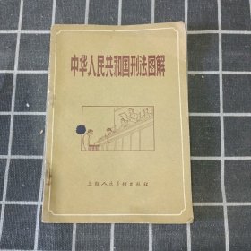 中华人民共和国刑法图解