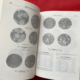 铸造手册 第1卷 铸铁（第4版）