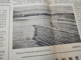《人民日报》1975年9月5日，心红志坚:记贵州省“指点江山”医疗队。上海市第一医院等六所医科院校的二十多名学生，组成“指点江山”医疗队，来到贵州省黔东南苗族侗族自治州的山区安家落户……路线正，人心齐，泰山移——江苏省江阴县华西大队党支部领导农业学大寨的调查资料。难得的资料，可以展览使用。