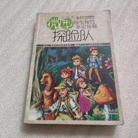 微型探险队