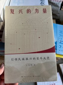 复兴的力量——引领民族振兴的百年大党