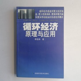 循环经济原理与应用