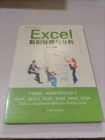 计算机实用技能丛书：Excel数据处理与分析