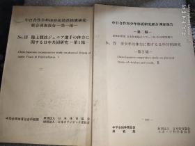 中日合作青少年体质研究联合调查报告【第1报 第2报】2本合售 中日对照