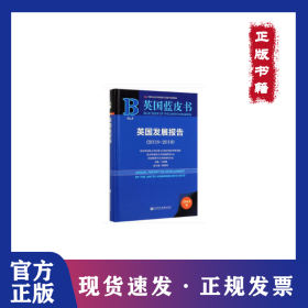 英国发展报告
