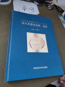 现代风湿性疾病·图谱