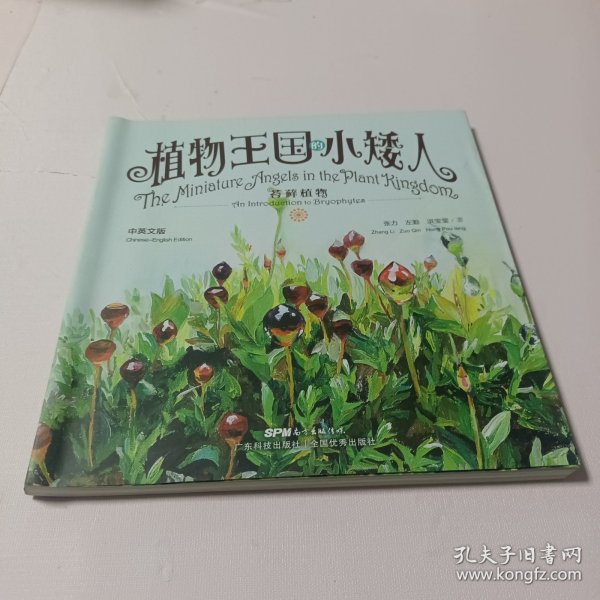 植物王国的小矮人：苔藓植物（中英文版）