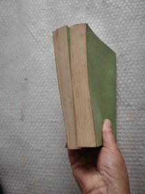荡寇志：上下册