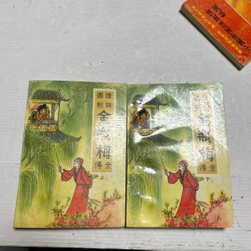 绘图评点金瓶梅全传 上下