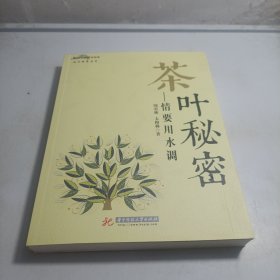 茶叶秘密：情要用水调