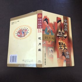 中国古代禁毁小说 珍藏秘本 花月痕