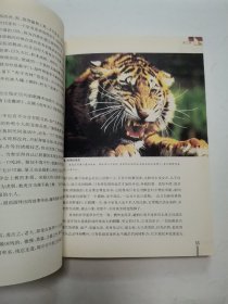 看客中国，中国社会各阶层分析，野兽之美（梁晓声作品，3册合售）
