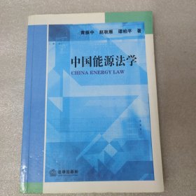 中国能源法学