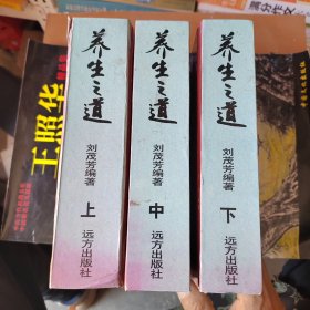 养生之道 上中下