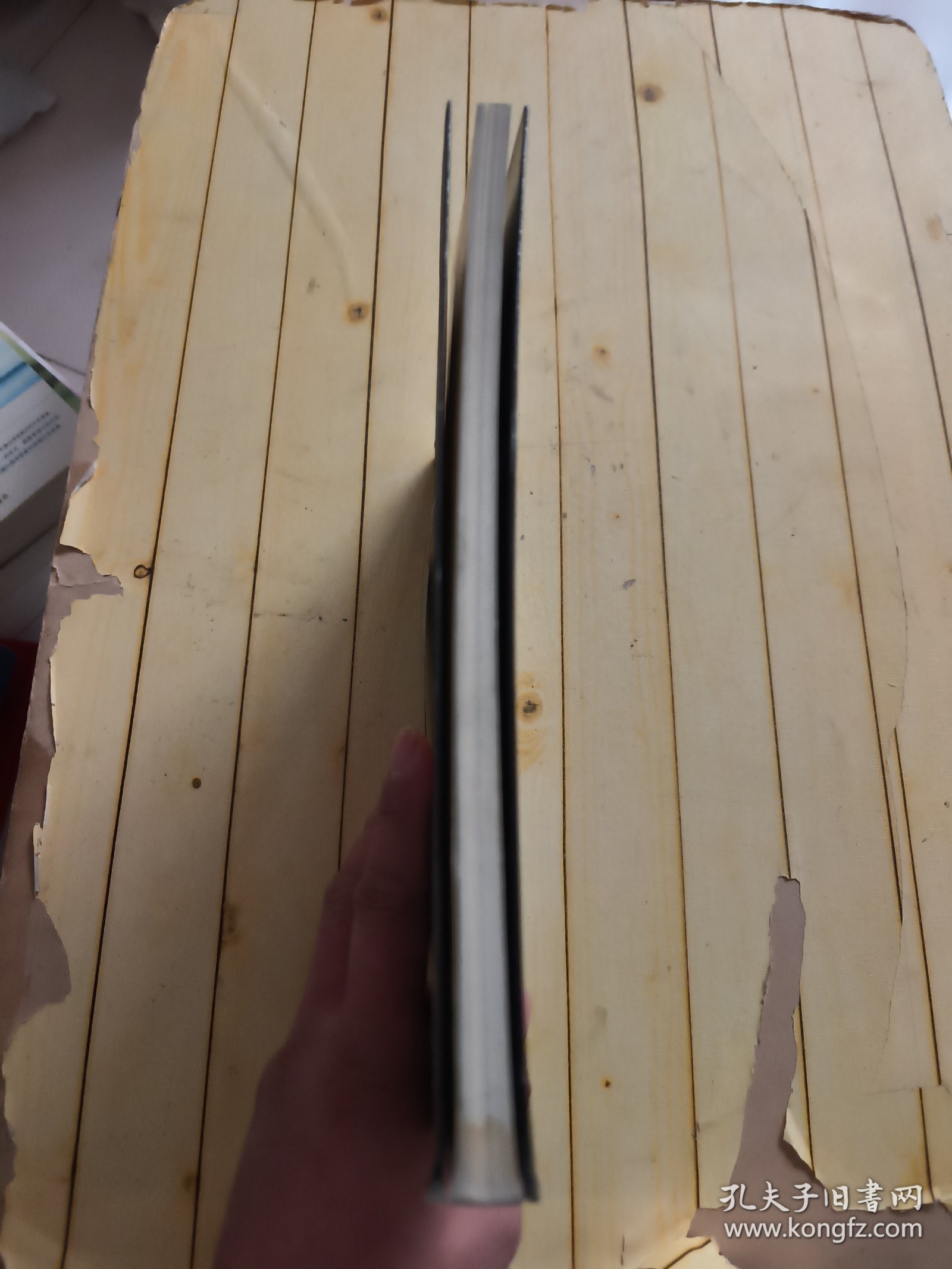 人与自然: 欧洲人体艺术 (何远波签名本)