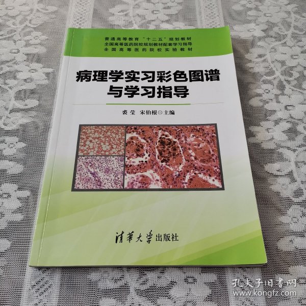 病理学实习彩色图谱与学习指导/普通高等教育“十二五”规划教材