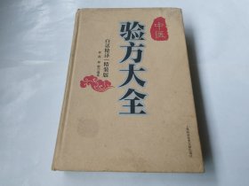 中医验方大全（白话精译·精装版）