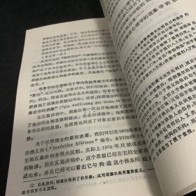 现象学的观念