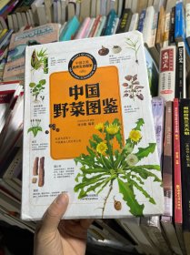 中国之美自然生态图鉴 中国野菜图鉴