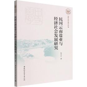 民国云南盐业与经济社会发展研究 经济理论、法规 赵小 新华正版