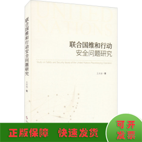 聯(lián)合國維和行動安全問題研究