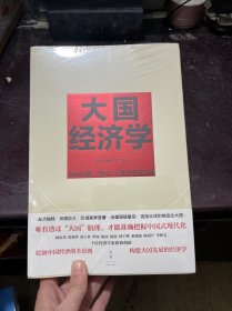 大国经济学：面向长期、全局、多维的中国发展（系统解读中国经济的通识之作，陆铭、杨汝岱等十位一流经济学家协力打造，构建理解当代中国发展的新常识）