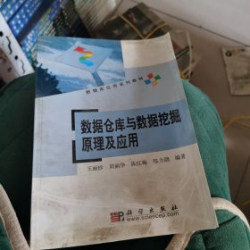 数据库应用系列教材：数据仓库与数据挖掘原理及应用