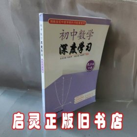 思维训练·初中数学深度学习九年级下册