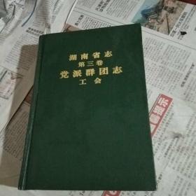 湖南省志.第三卷.党派群团志·工会