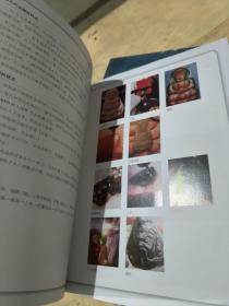 行家这样买翡翠(珍藏版)