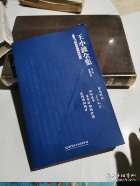 王小波全集（第六卷 中篇小说）：黄金时代 三十而立 似水流年 革命时期的爱情 我的阴阳两界