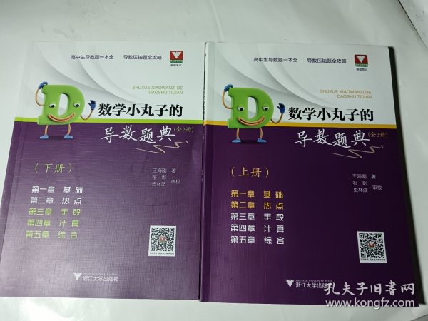 数学小丸子的导数题典(全2册)，正版，无笔记划线